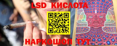 крисы Севастополь