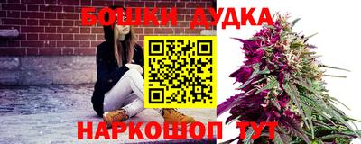 крисы Севастополь